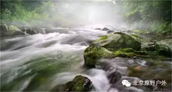 用笔如神，独领风采，别具一格——读齐一民《四个不朽》